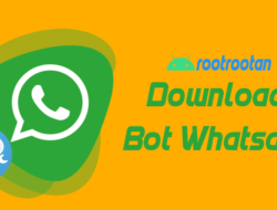 bot whatsapp
