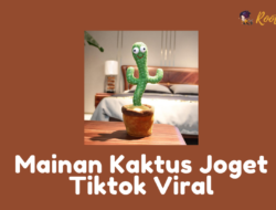Mainan Kaktus Joget Tiktok Viral (2)