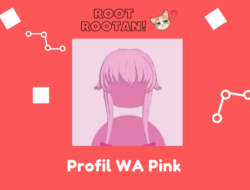 Profil WA Pink