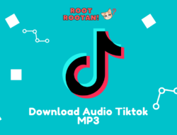 Download Audio Tiktok MP3