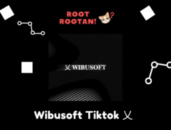 Wibusoft Tiktok