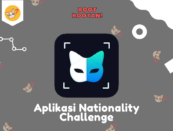 Aplikasi Nationality Challenge