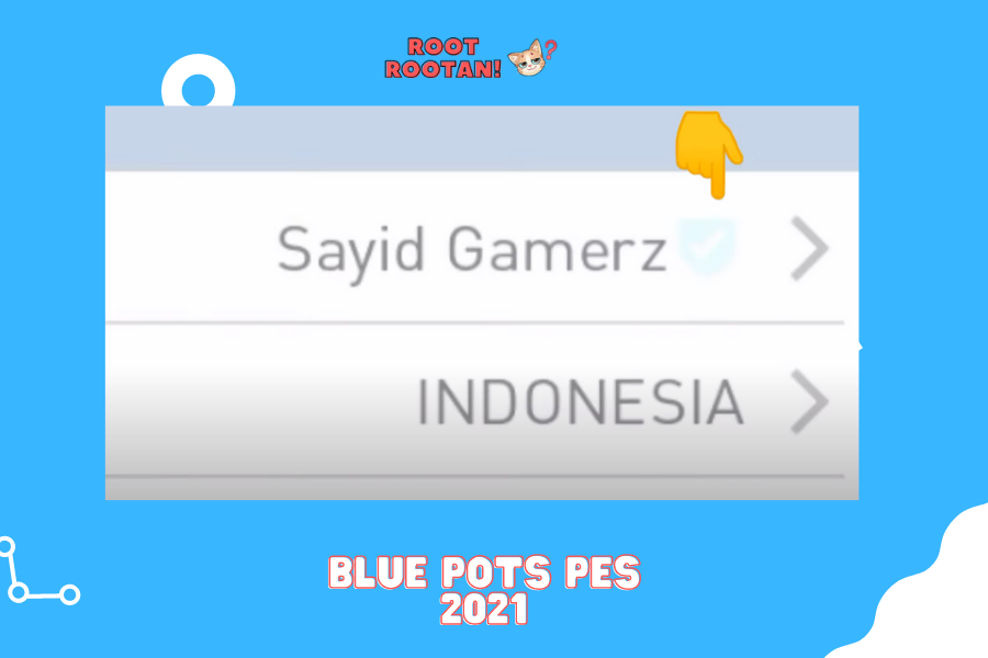 Blue Pots Pes 2021