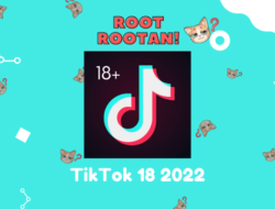 TikTok 18 2022