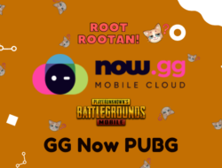 GG Now PUBG