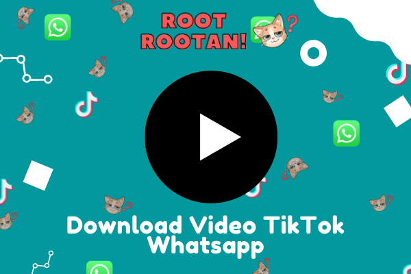 Download Video TikTok Whatsapp