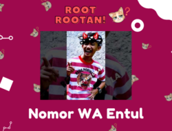 Nomor WA Entul