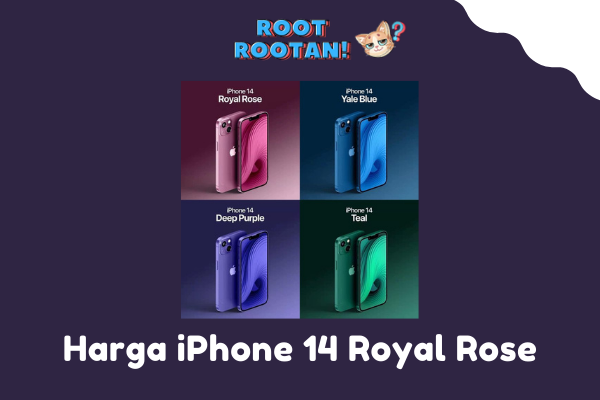 Harga iPhone 14 Royal Rose