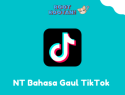 NT Bahasa Gaul TikTok