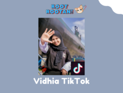 Vidhia TikTok